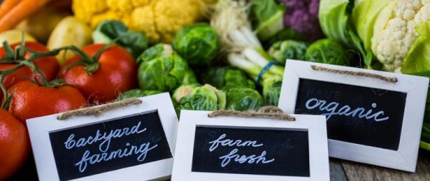 Energetics of Food – Newsletter May 2016