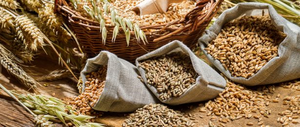 Dietary Significance of Carbohydrates