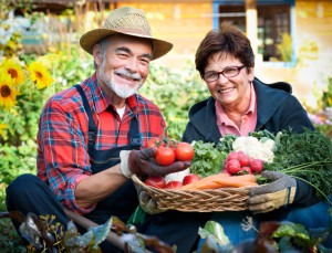 Gardening - Growing Your Own Food