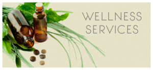 Wellness Services offered by TDI and Health Through Awareness