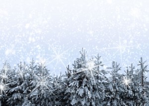 Happy Holidays from TDI and Health Through Awareness