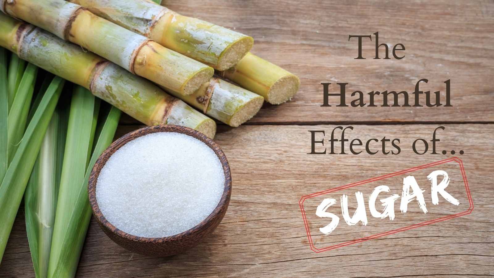 The Harmful Effects of Sugar Thermographic Diagnostic Imaging