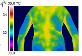 Upper Body Thermography showing thoracic cooling